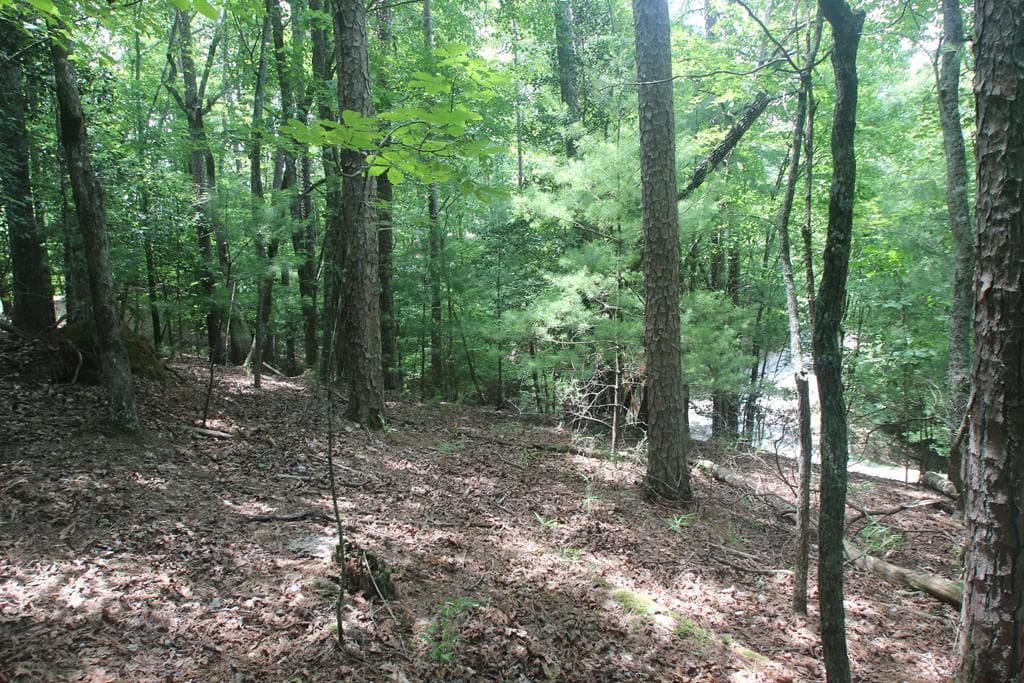 Lt 2628 Garnet Drive, Ellijay GA 30540 - Primary photo