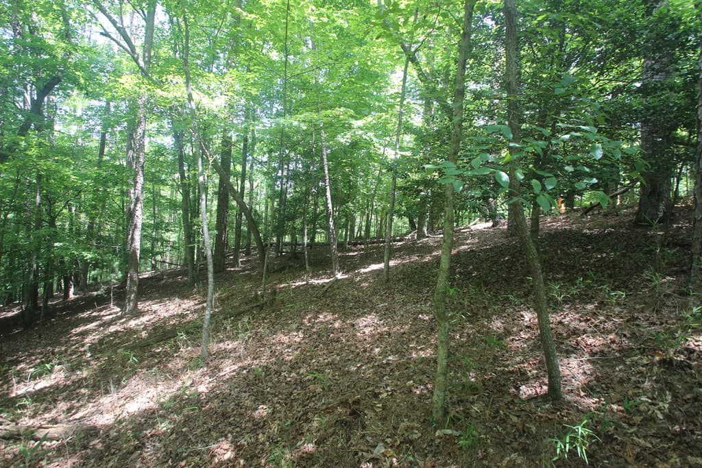Lt 2628 Garnet Drive, Ellijay GA 30540 - Photo