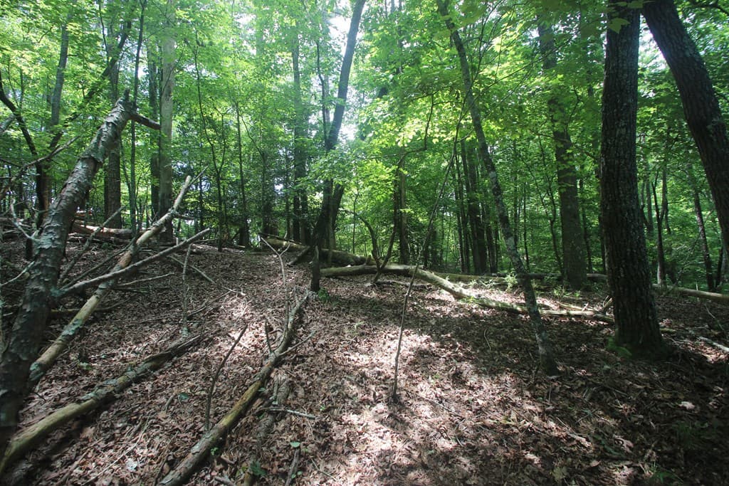Lt 2628 Garnet Drive, Ellijay GA 30540 - Photo
