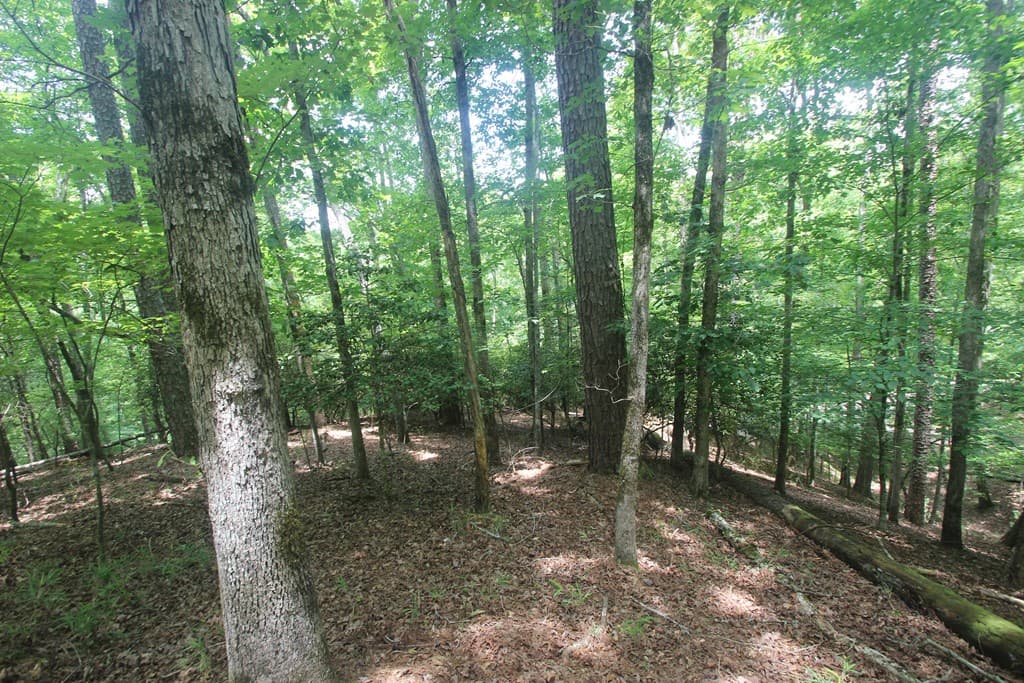 Lt 2628 Garnet Drive, Ellijay GA 30540 - Photo