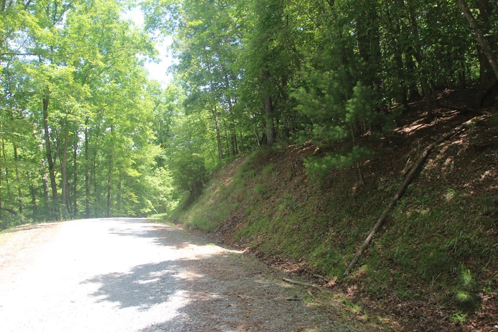 Lt 2628 Garnet Drive, Ellijay GA 30540 - Photo