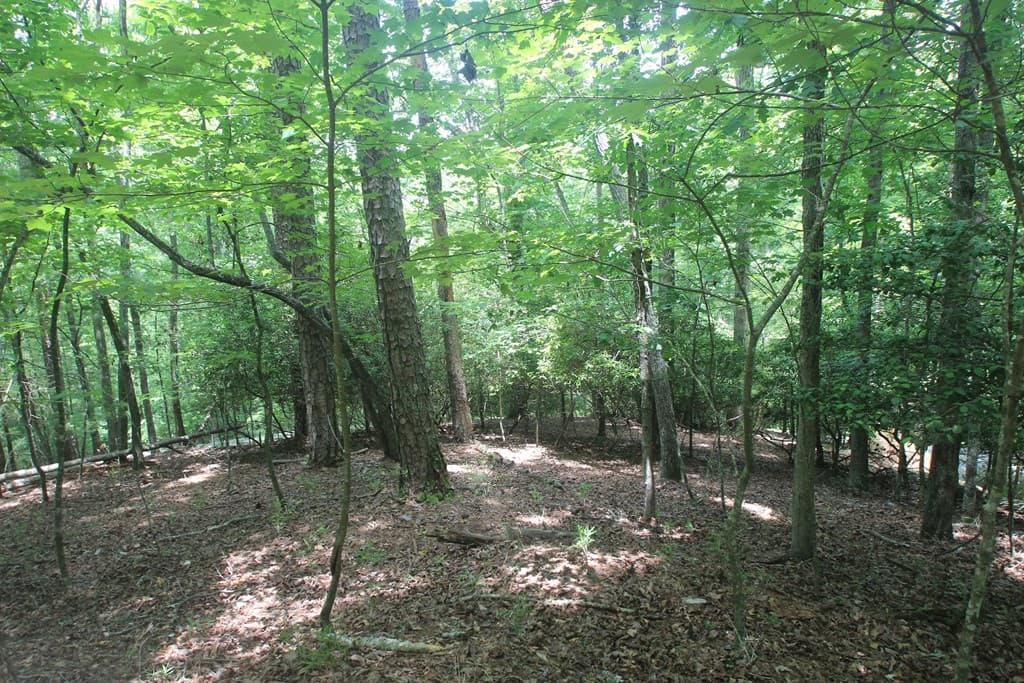 Lt 2628 Garnet Drive, Ellijay GA 30540 - Photo