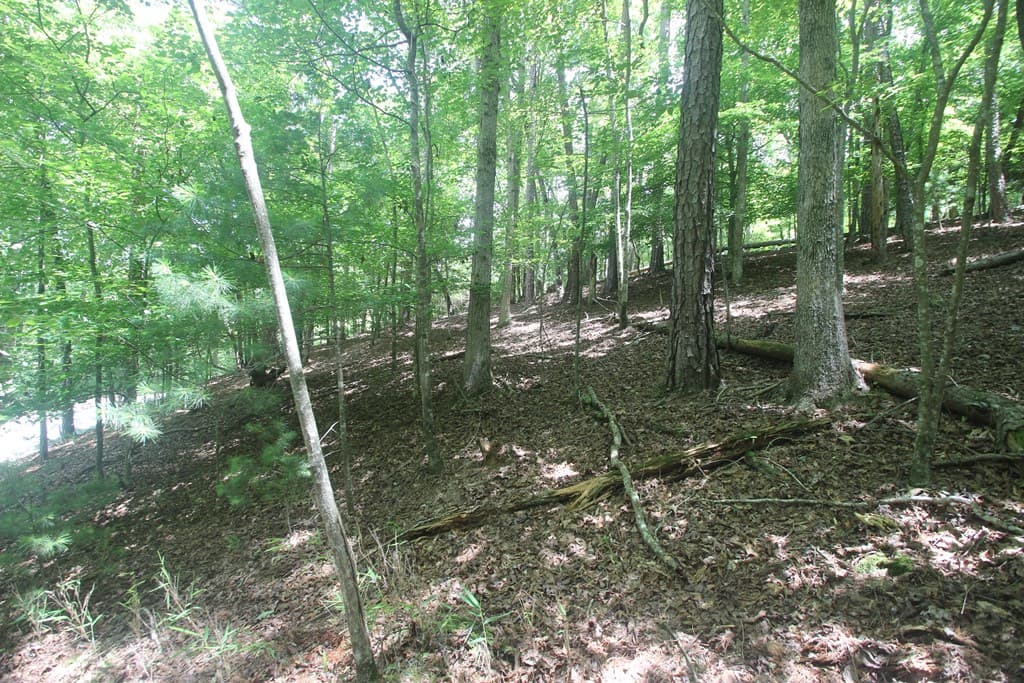 Lt 2628 Garnet Drive, Ellijay GA 30540 - Photo