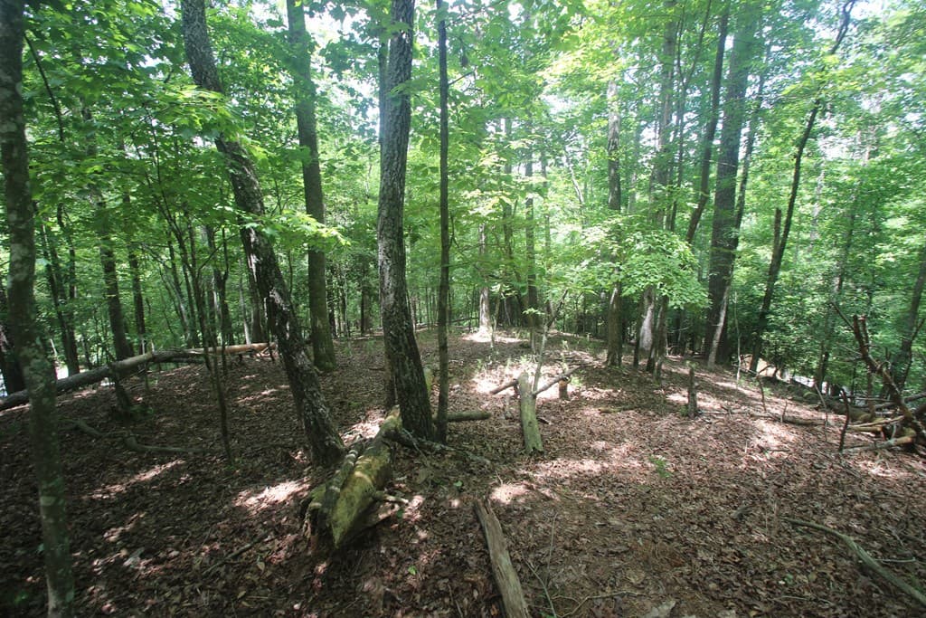 Lt 2628 Garnet Drive, Ellijay GA 30540 - Photo