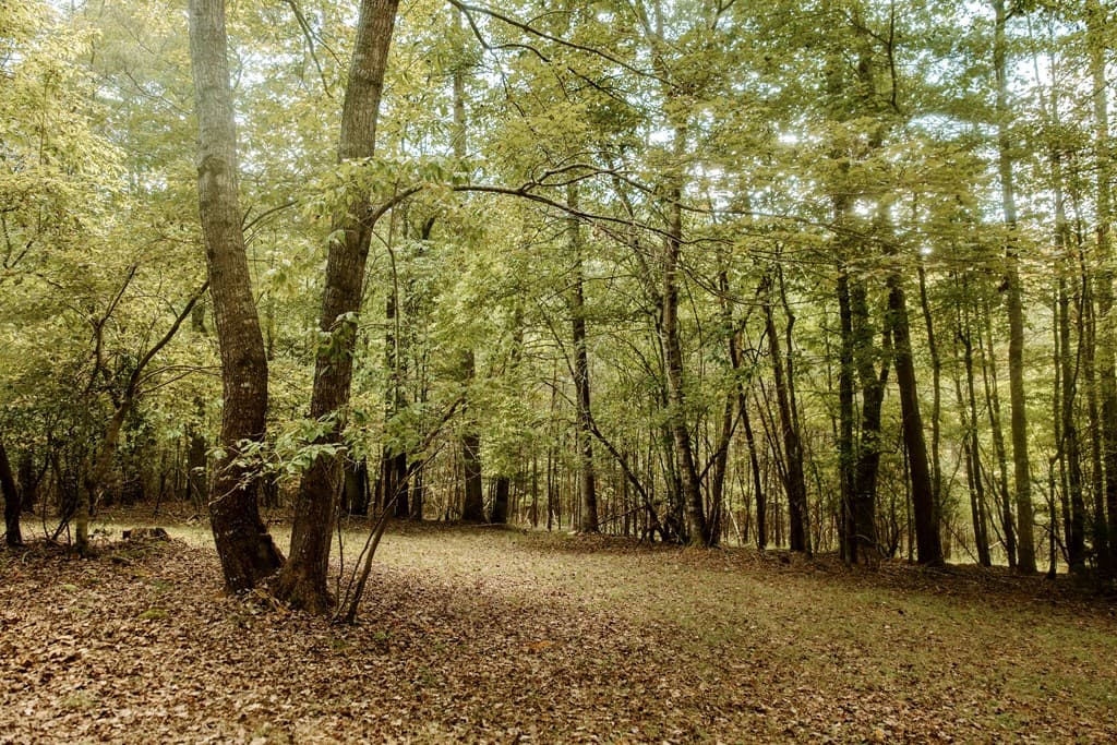 837 River Forest Run, Cleveland GA 30528 - Photo