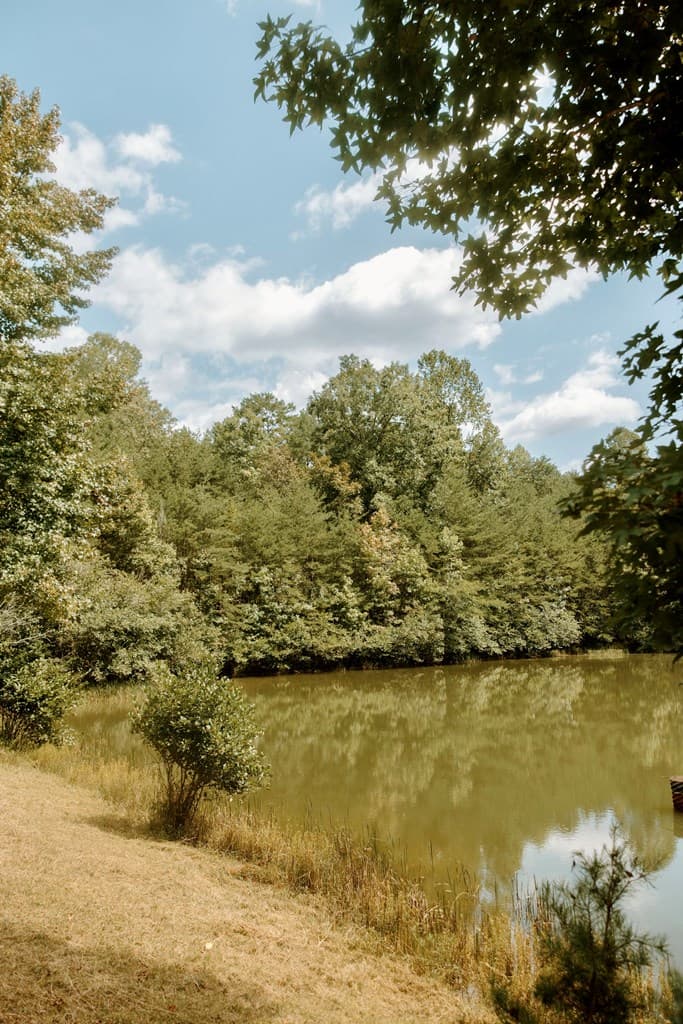837 River Forest Run, Cleveland GA 30528 - Photo