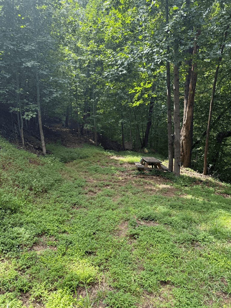TRACT 4 Morgan Ridge Drive, Young Harris GA 30582 - Photo
