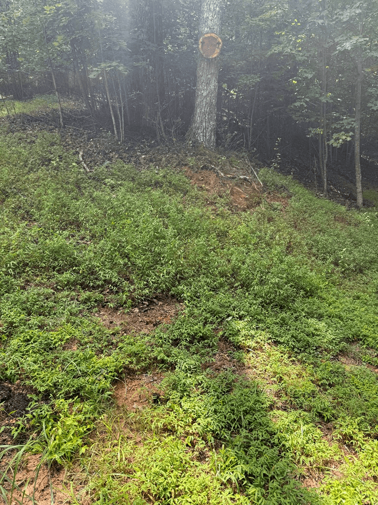 TRACT 4 Morgan Ridge Drive, Young Harris GA 30582 - Photo