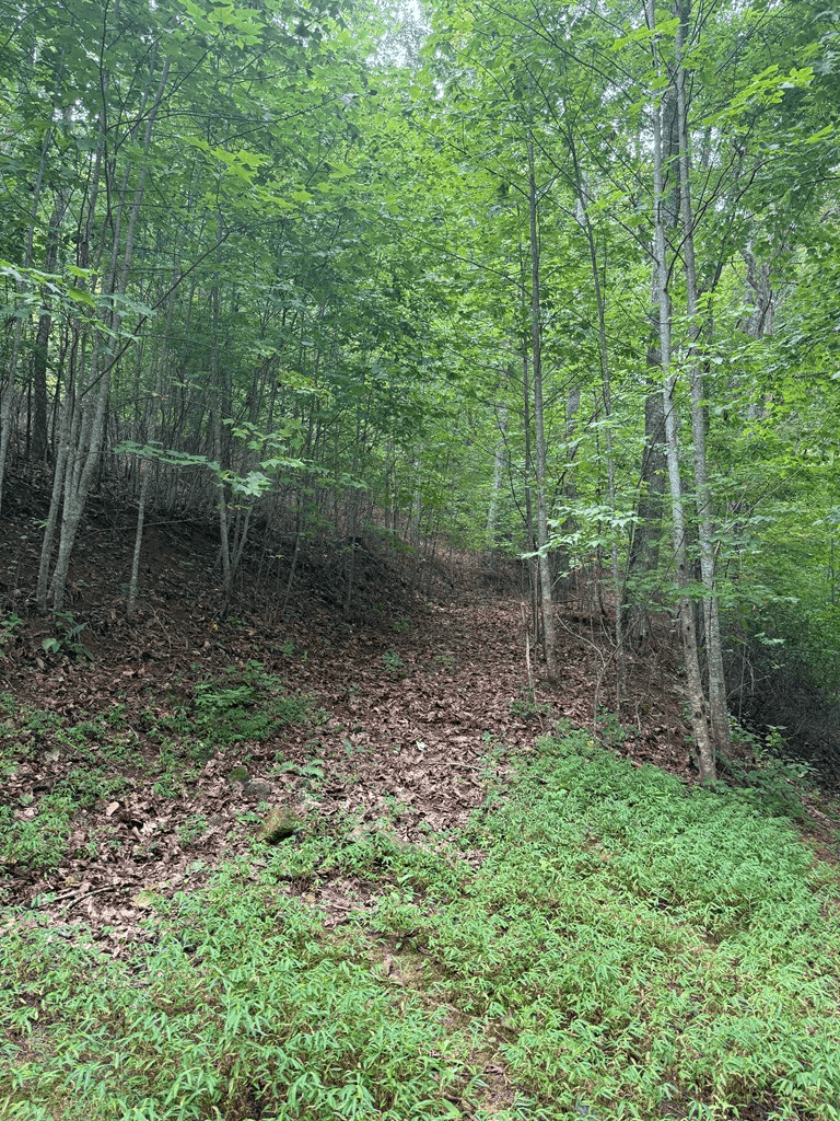 TRACT 4 Morgan Ridge Drive, Young Harris GA 30582 - Photo