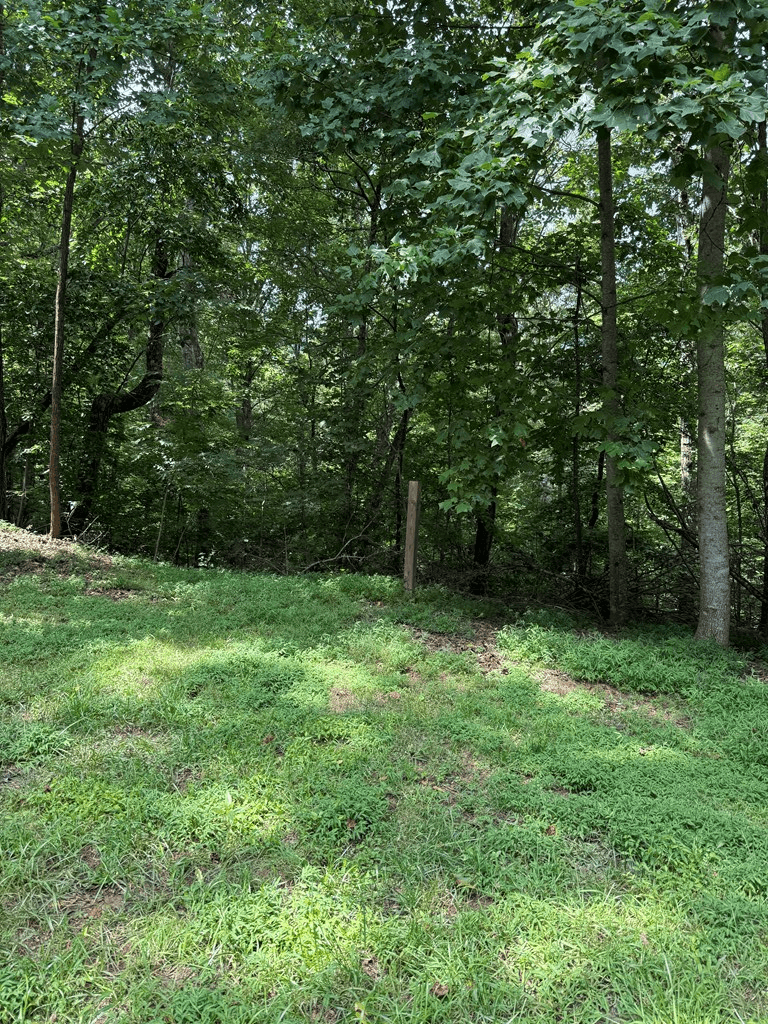 TRACT 4 Morgan Ridge Drive, Young Harris GA 30582 - Photo