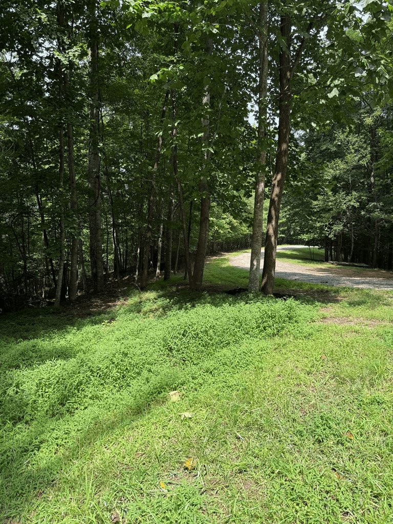 TRACT 4 Morgan Ridge Drive, Young Harris GA 30582 - Photo