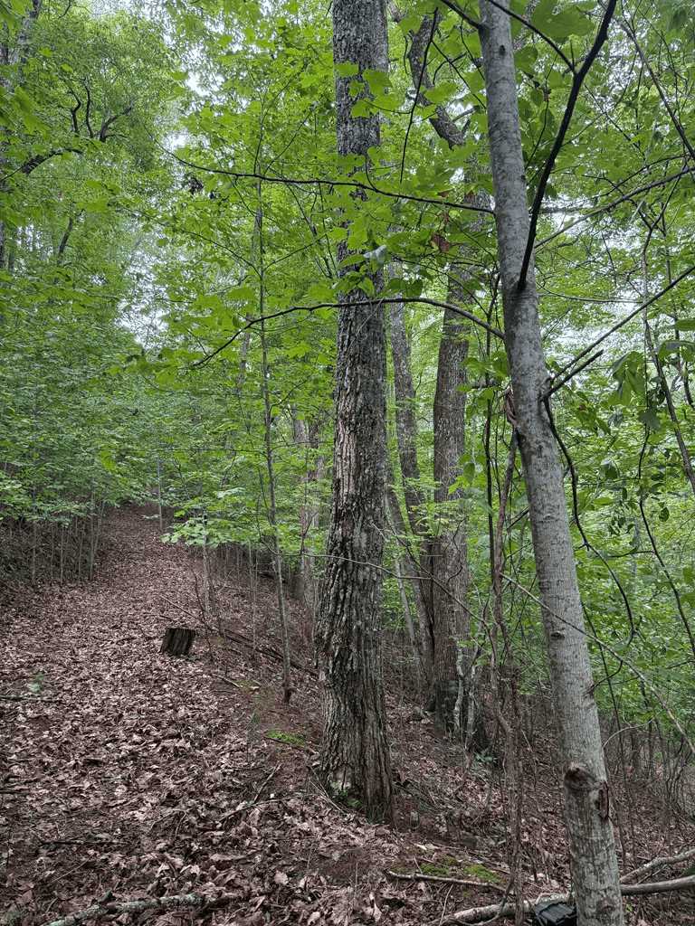 TRACT 4 Morgan Ridge Drive, Young Harris GA 30582 - Photo