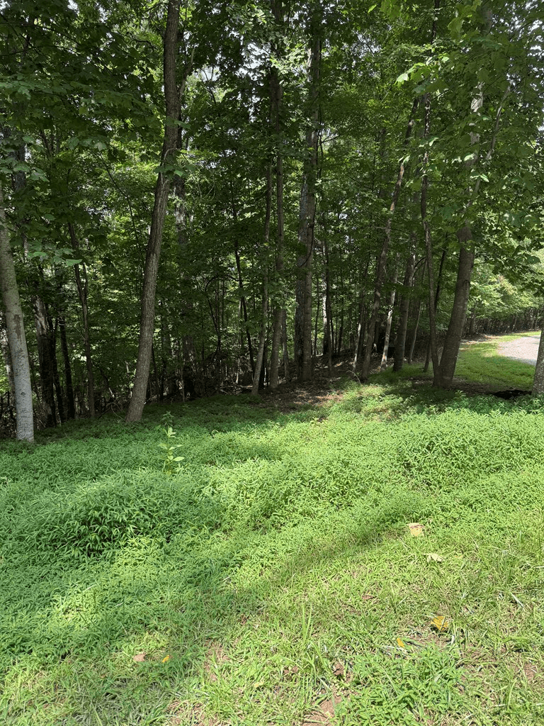 TRACT 4 Morgan Ridge Drive, Young Harris GA 30582 - Photo