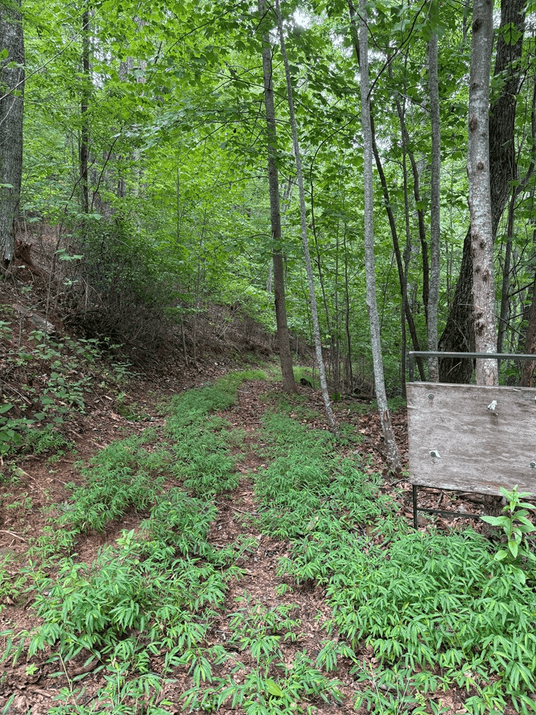 TRACT 4 Morgan Ridge Drive, Young Harris GA 30582 - Photo