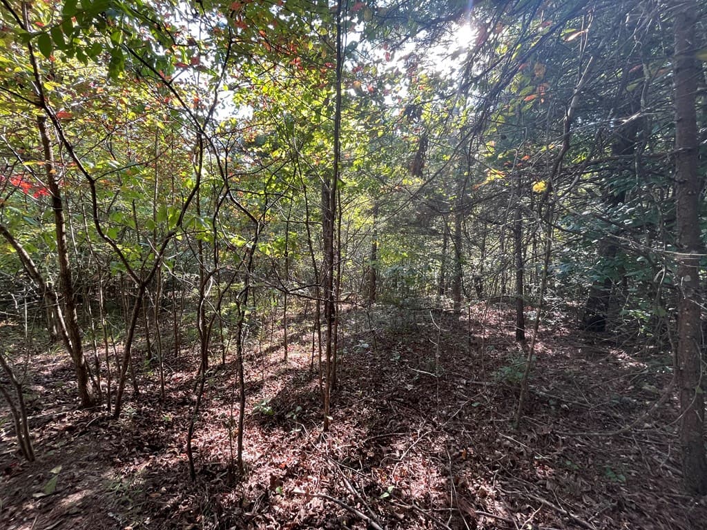 TBD Posey Place, Murphy NC 28906 - Photo