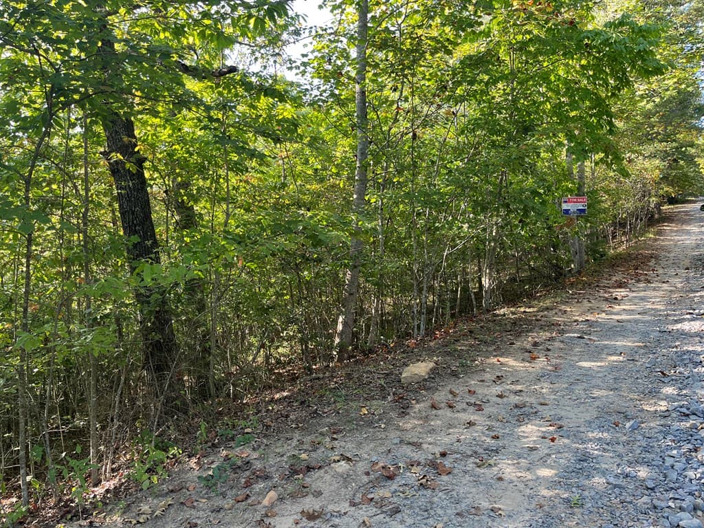 TBD Posey Place, Murphy NC 28906 - Photo