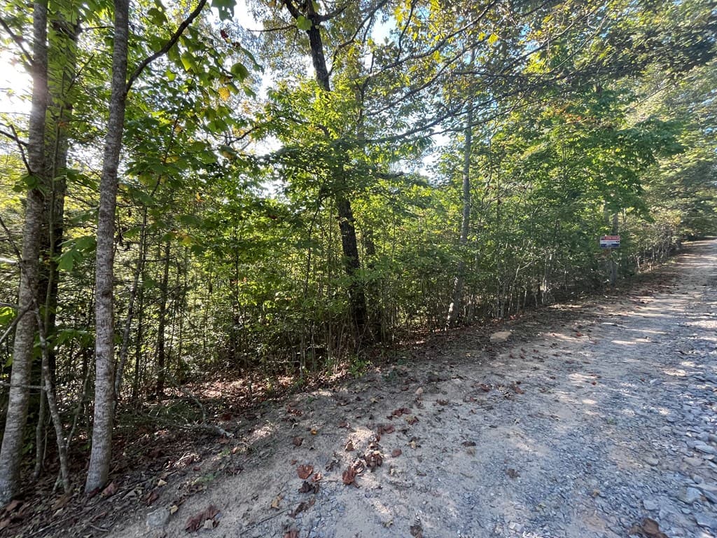 TBD Posey Place, Murphy NC 28906 - Photo