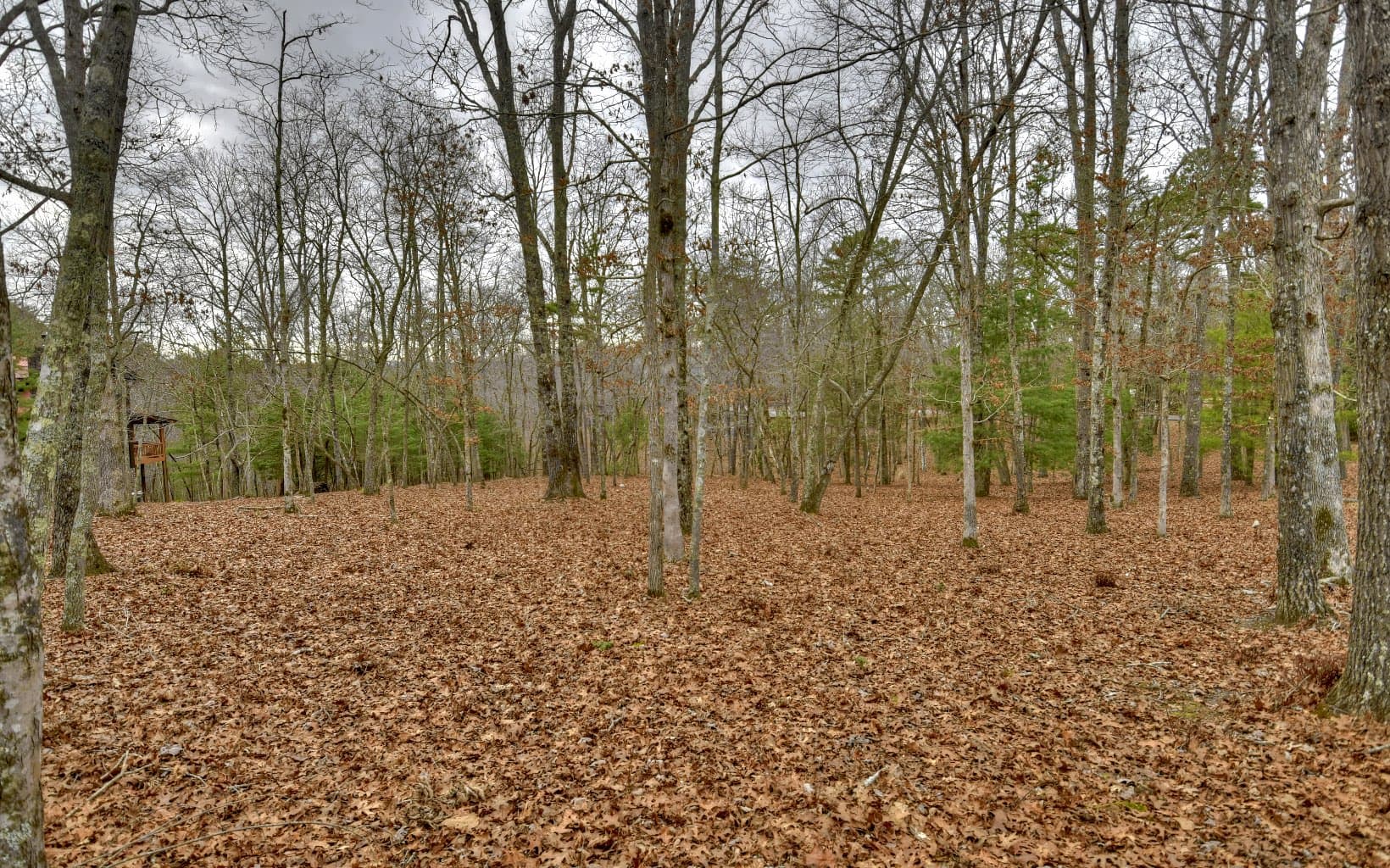 LT 57 Riverwalk On Toccoa, Mineral Bluff GA 30559 - Photo
