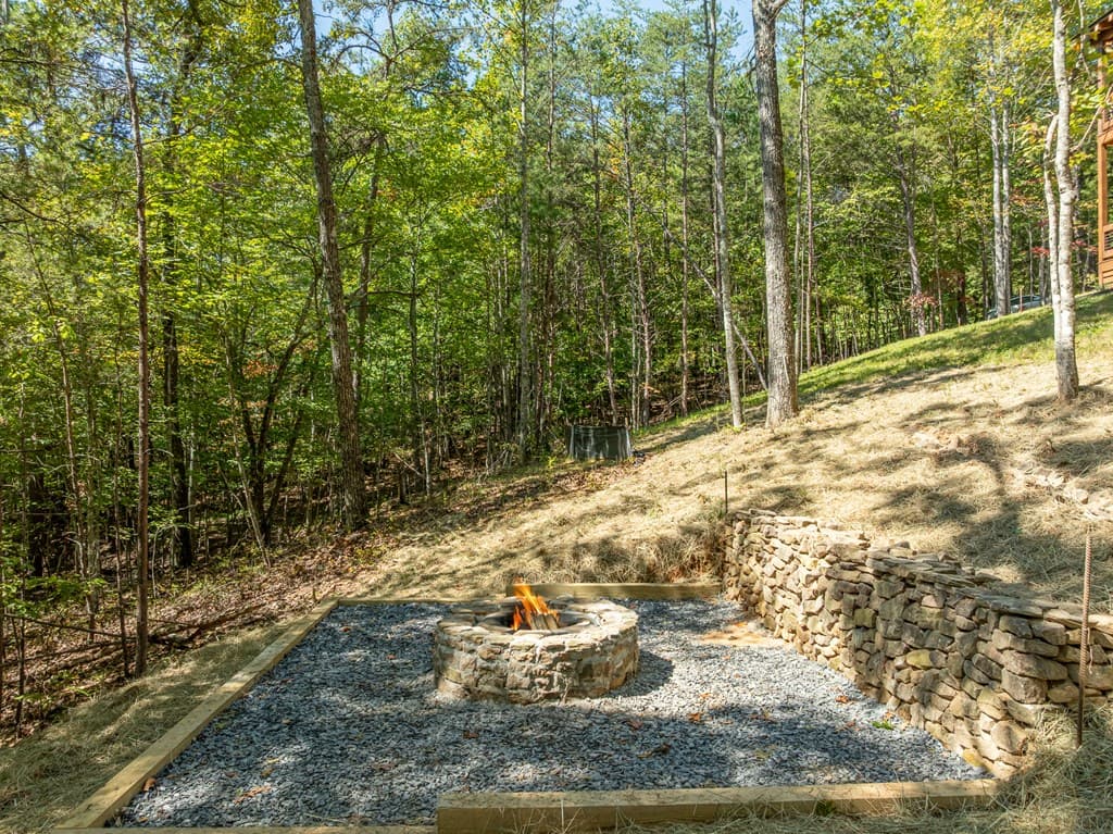 108 Wildflower Drive, Mineral Bluff GA 30559 - Photo