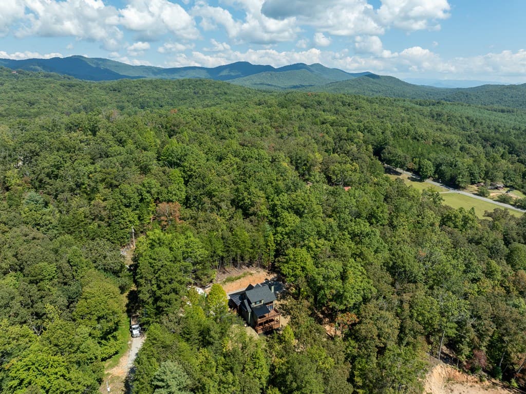 108 Wildflower Drive, Mineral Bluff GA 30559 - Photo