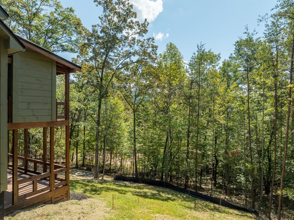 108 Wildflower Drive, Mineral Bluff GA 30559 - Photo