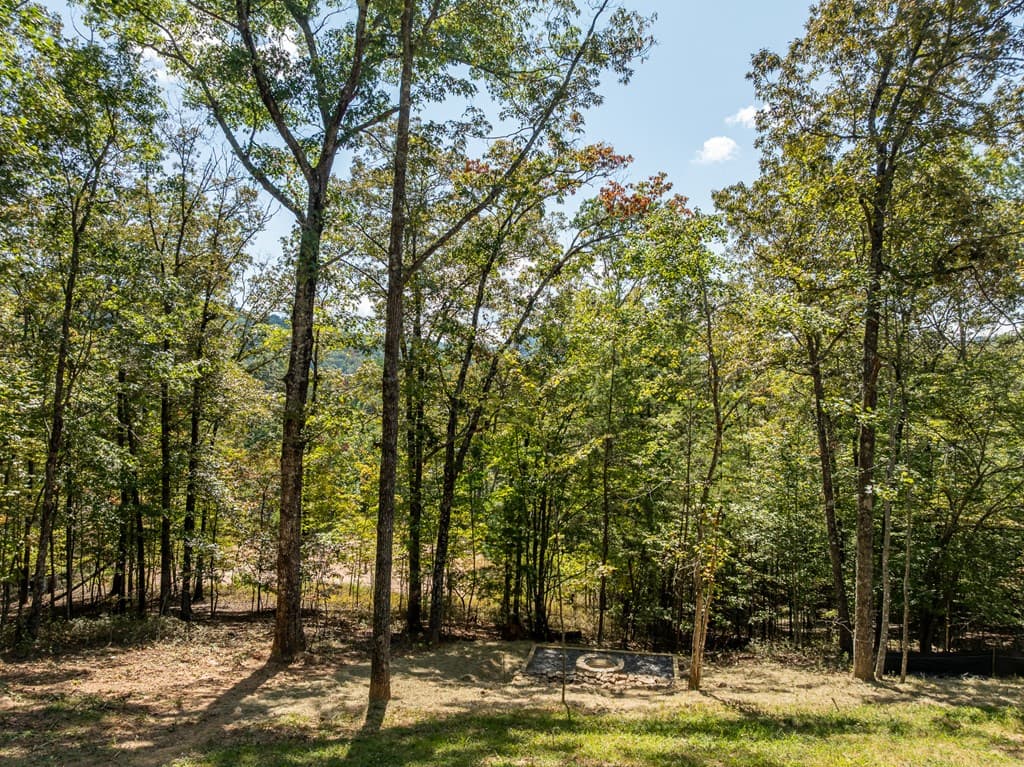 108 Wildflower Drive, Mineral Bluff GA 30559 - Photo
