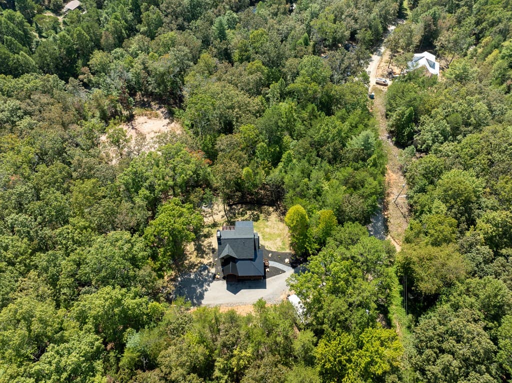 108 Wildflower Drive, Mineral Bluff GA 30559 - Photo