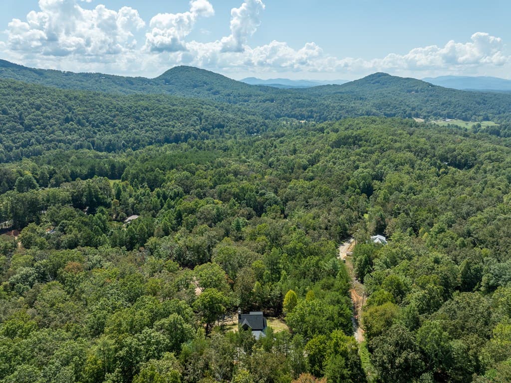108 Wildflower Drive, Mineral Bluff GA 30559 - Photo