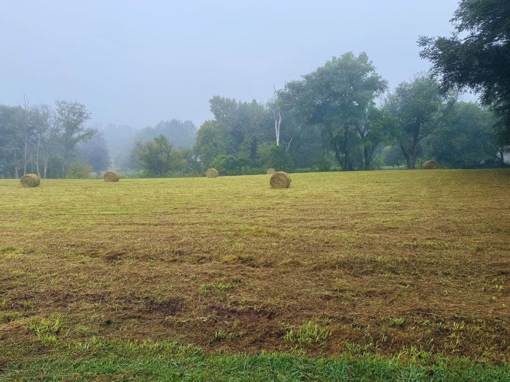 Lot 26 Butterball Boulevard, Murphy NC 28906 - Photo