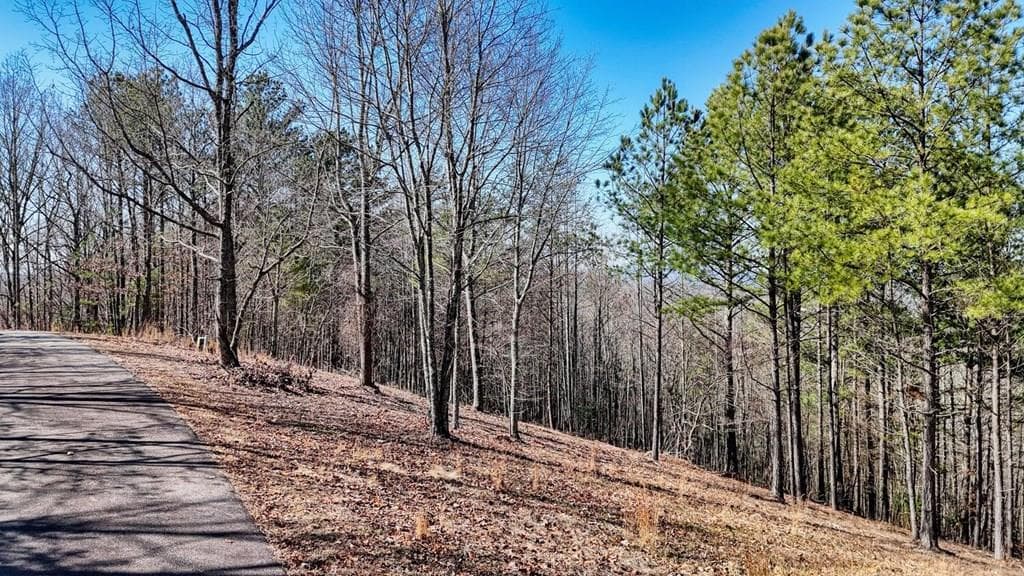 Lot 29 Loftis Mountain, Blairsville GA 30512 - Photo