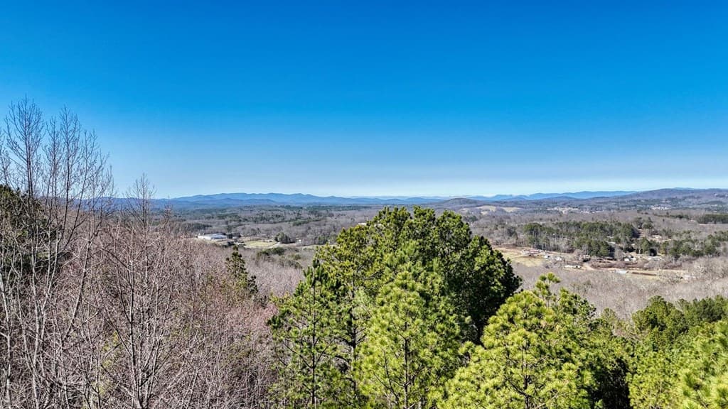 Lot 29 Loftis Mountain, Blairsville GA 30512 - Photo