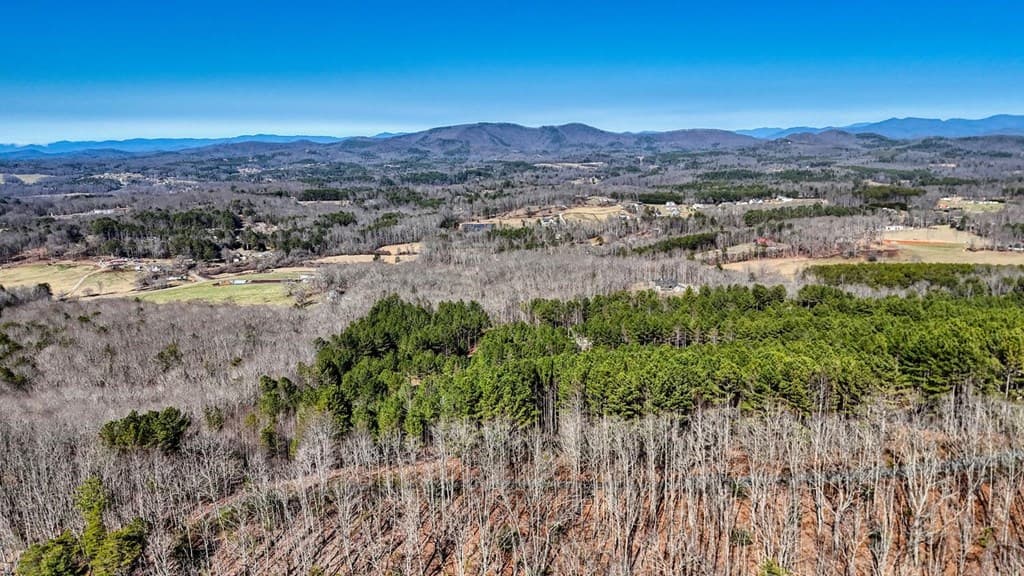 Lot 29 Loftis Mountain, Blairsville GA 30512 - Photo