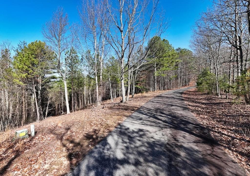 Lot 29 Loftis Mountain, Blairsville GA 30512 - Photo