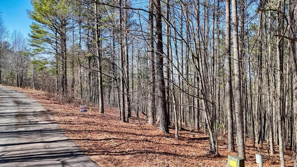 Lot 29 Loftis Mountain, Blairsville GA 30512 - Primary photo