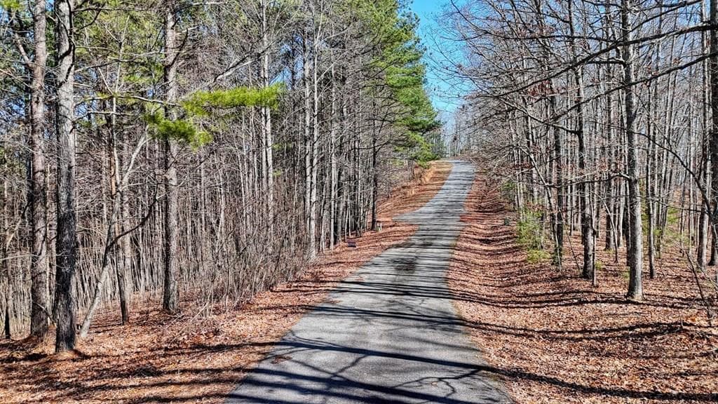 Lot 29 Loftis Mountain, Blairsville GA 30512 - Photo