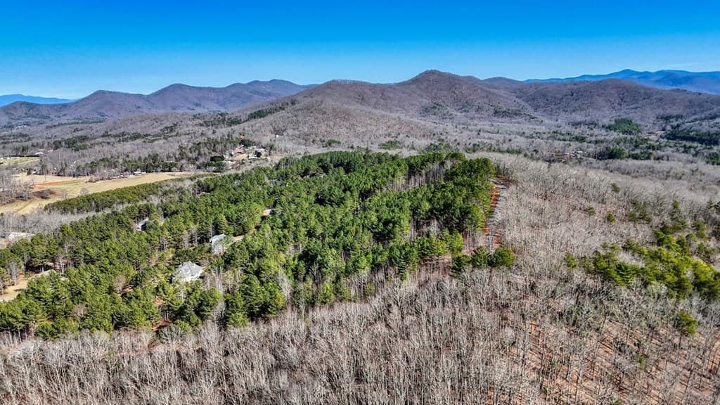 Lot 29 Loftis Mountain, Blairsville GA 30512 - Photo