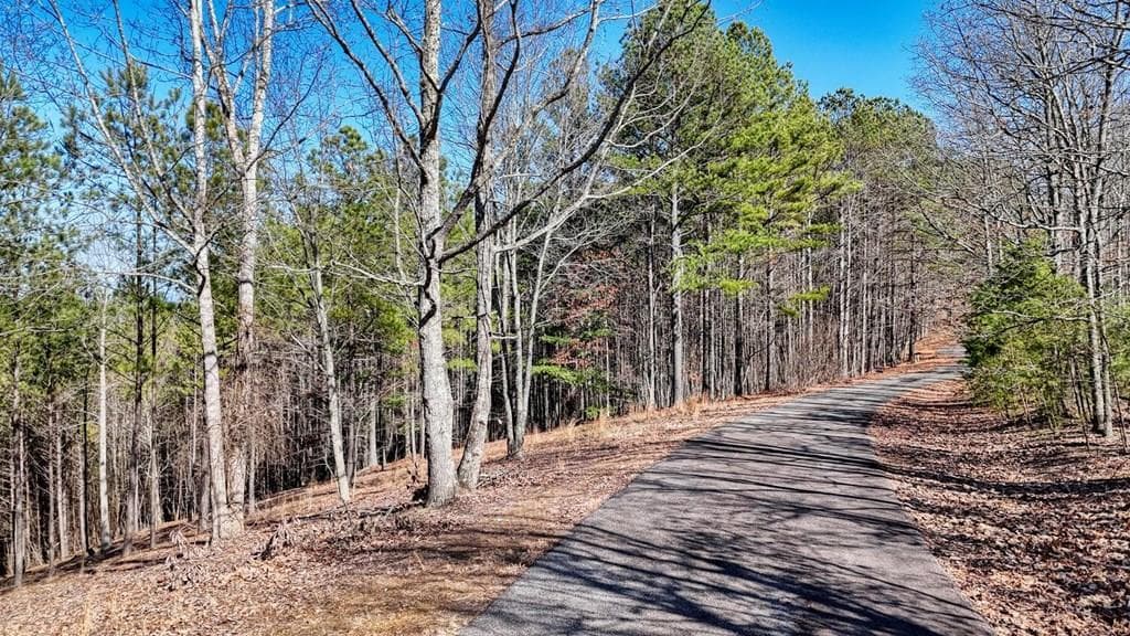 Lot 29 Loftis Mountain, Blairsville GA 30512 - Photo