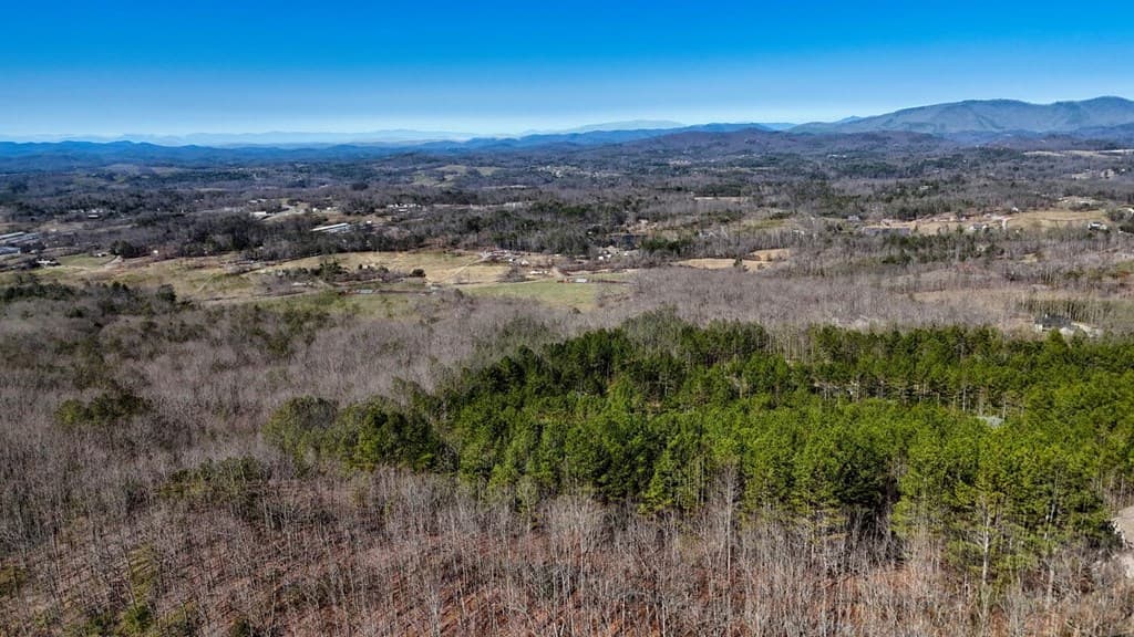 Lot 29 Loftis Mountain, Blairsville GA 30512 - Photo