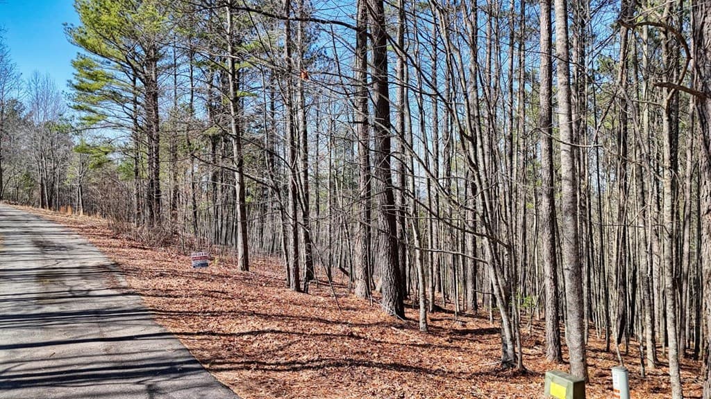 Lot 29 Loftis Mountain, Blairsville GA 30512 - Photo