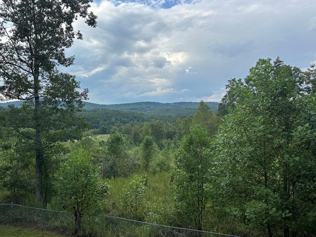 162 Beaver Ridge, Blairsville GA 30512 - Photo