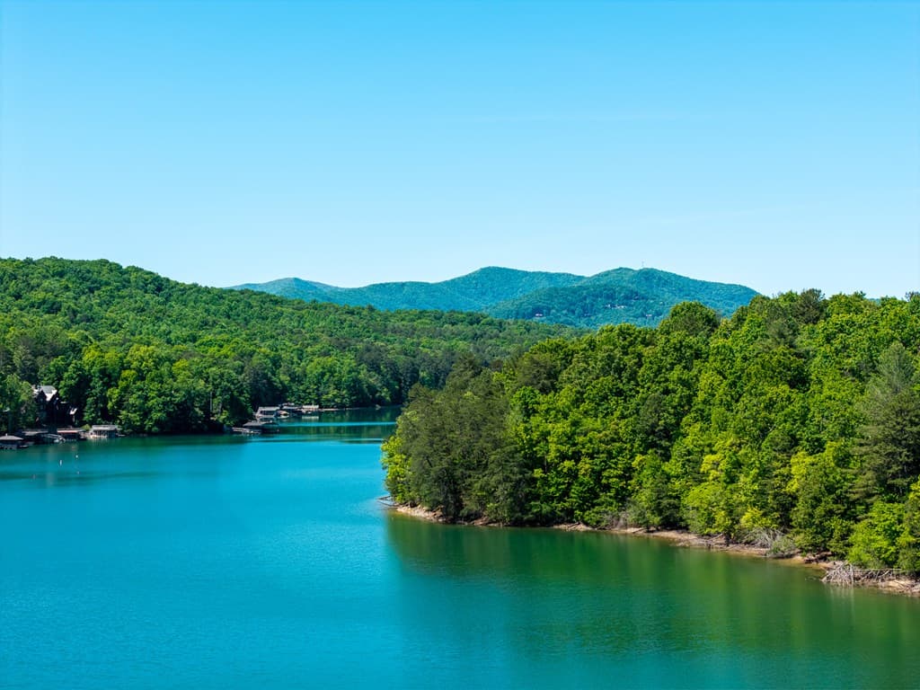 365 Lower Star Creek Road, Morganton GA 30560 - Photo
