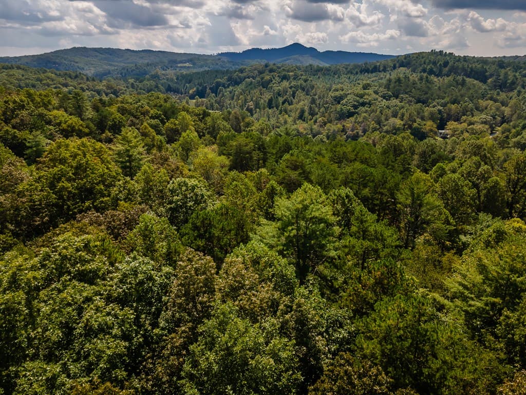 151 Pinewood Drive, Murphy NC 28906 - Photo