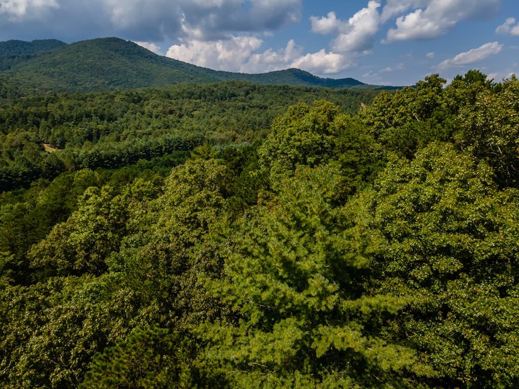 151 Pinewood Drive, Murphy NC 28906 - Photo