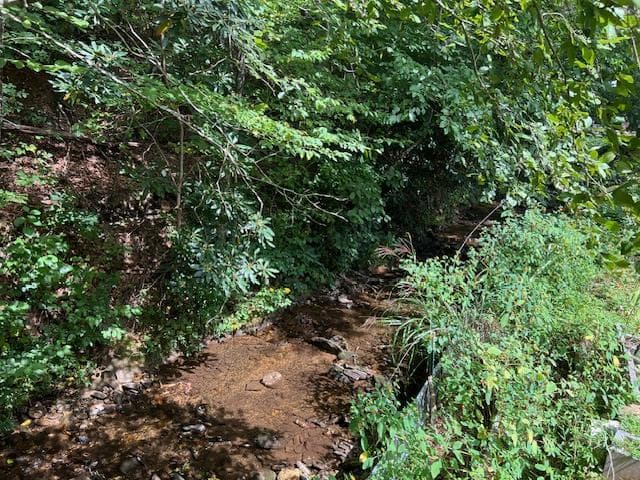 184/196 Bear Bend, Blairsville GA 30512 - Photo