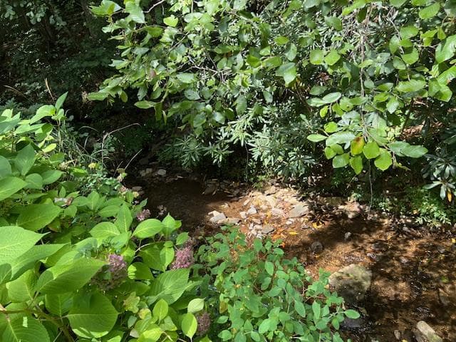 184/196 Bear Bend, Blairsville GA 30512 - Photo
