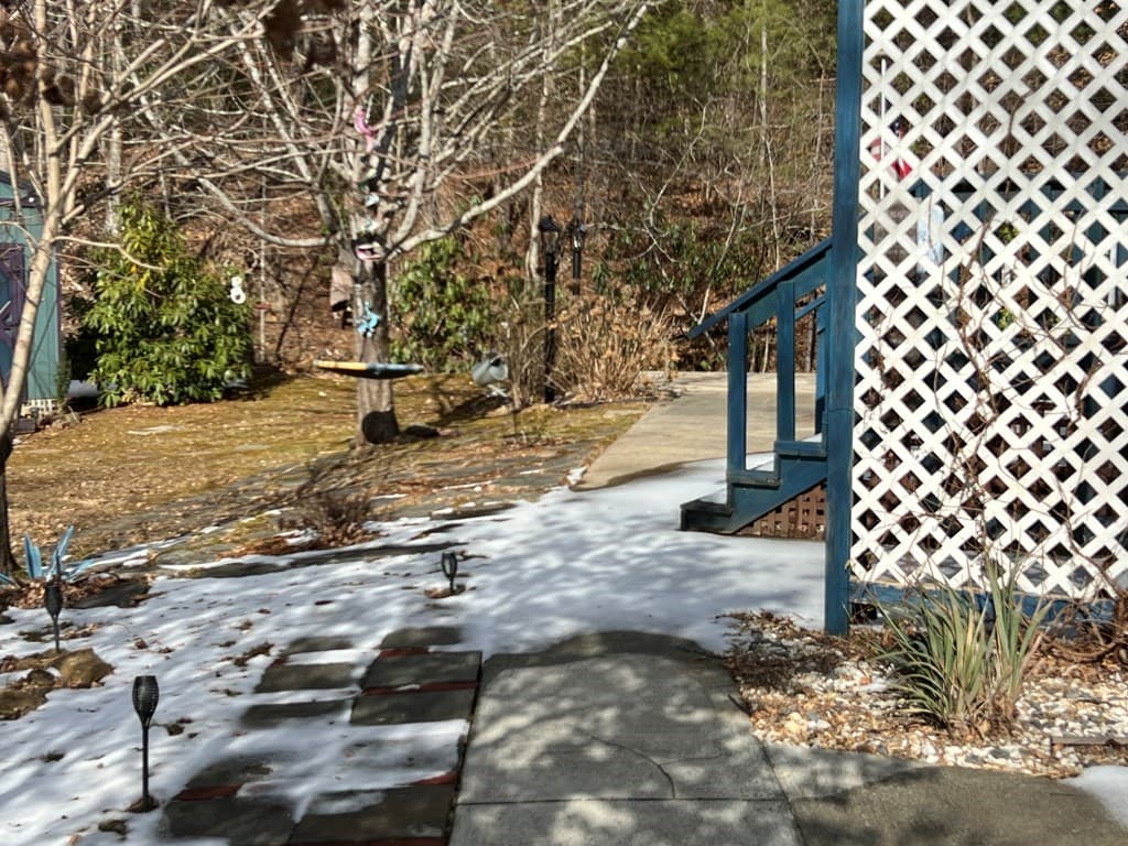 184/196 Bear Bend, Blairsville GA 30512 - Photo