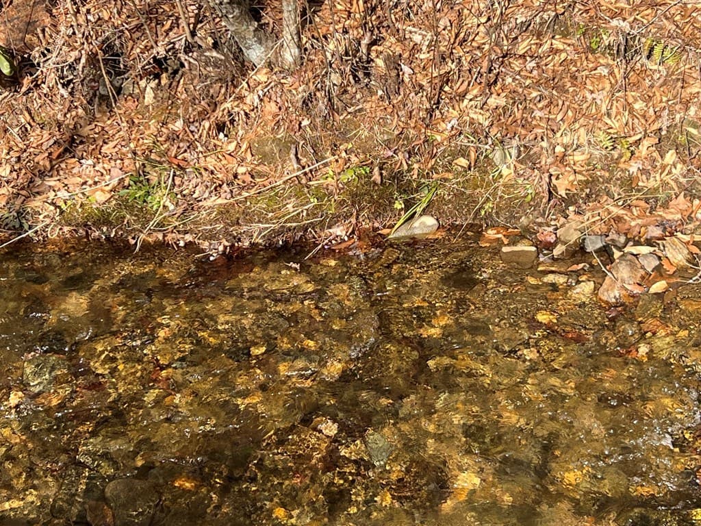 184/196 Bear Bend, Blairsville GA 30512 - Photo