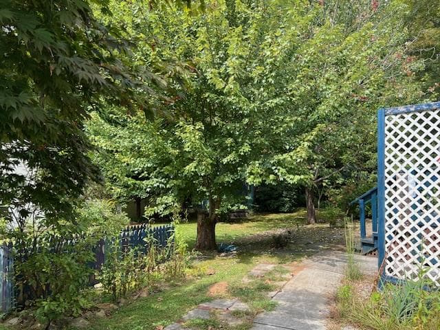 184/196 Bear Bend, Blairsville GA 30512 - Photo