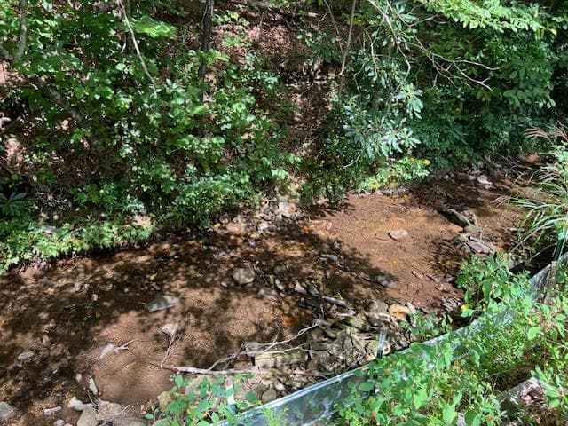 184/196 Bear Bend, Blairsville GA 30512 - Photo
