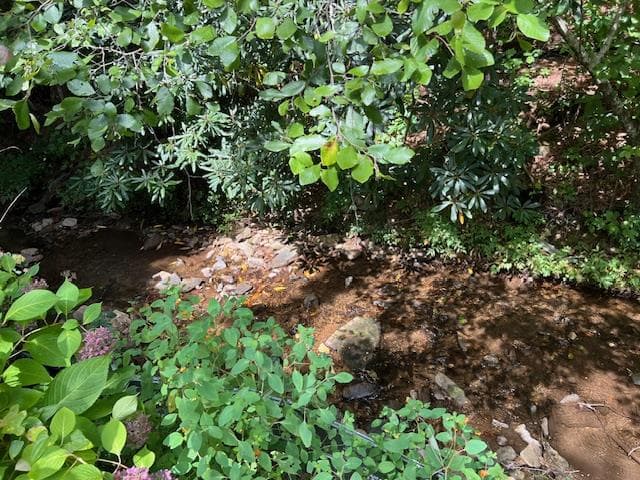 184/196 Bear Bend, Blairsville GA 30512 - Photo